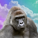 Harambe on Solana logo