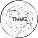 TMN Global logo