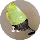 catwifbag logo