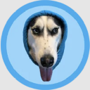 DOGWIFHOOD logo