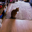 Ansem's Cat logo