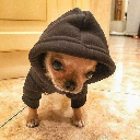 Doginhood logo