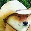 What in Tarnation? logo