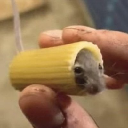mouse in pasta logo