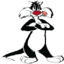 CAT SYLVESTER logo