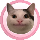 Polite Cat logo