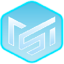 MTMS Network logo