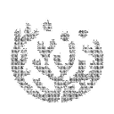 23 Turtles logo