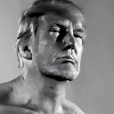 Giga Bull Trump logo