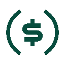 Solayer USD logo