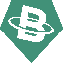 USD BIT logo