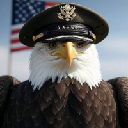 Army Eagle 250 logo