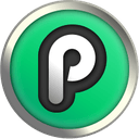 PlayChip logo