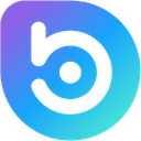 BORA logo