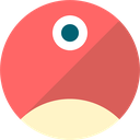 pNetwork logo