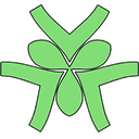 Lung Protocol logo