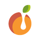 JUIICE logo