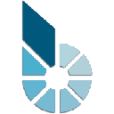 bitCNY logo