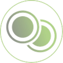 Bintex Futures logo