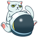Cat Token logo