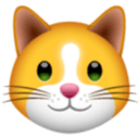 KittenFinance logo