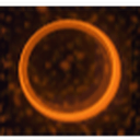 BlackHoleSwap-Compound DAI/USDC logo