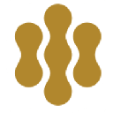 Gold BCR logo