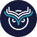 Wise Token logo