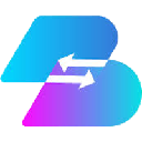 Basis Dollar Share logo