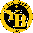 Young Boys Fan Token logo