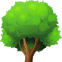 Octree logo
