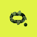 Moss Carbon Credit logo