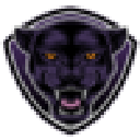 JaguarSwap logo