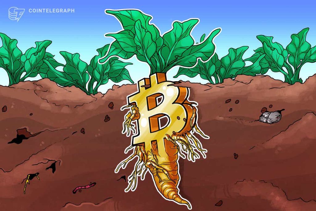 bitcoin upgrade