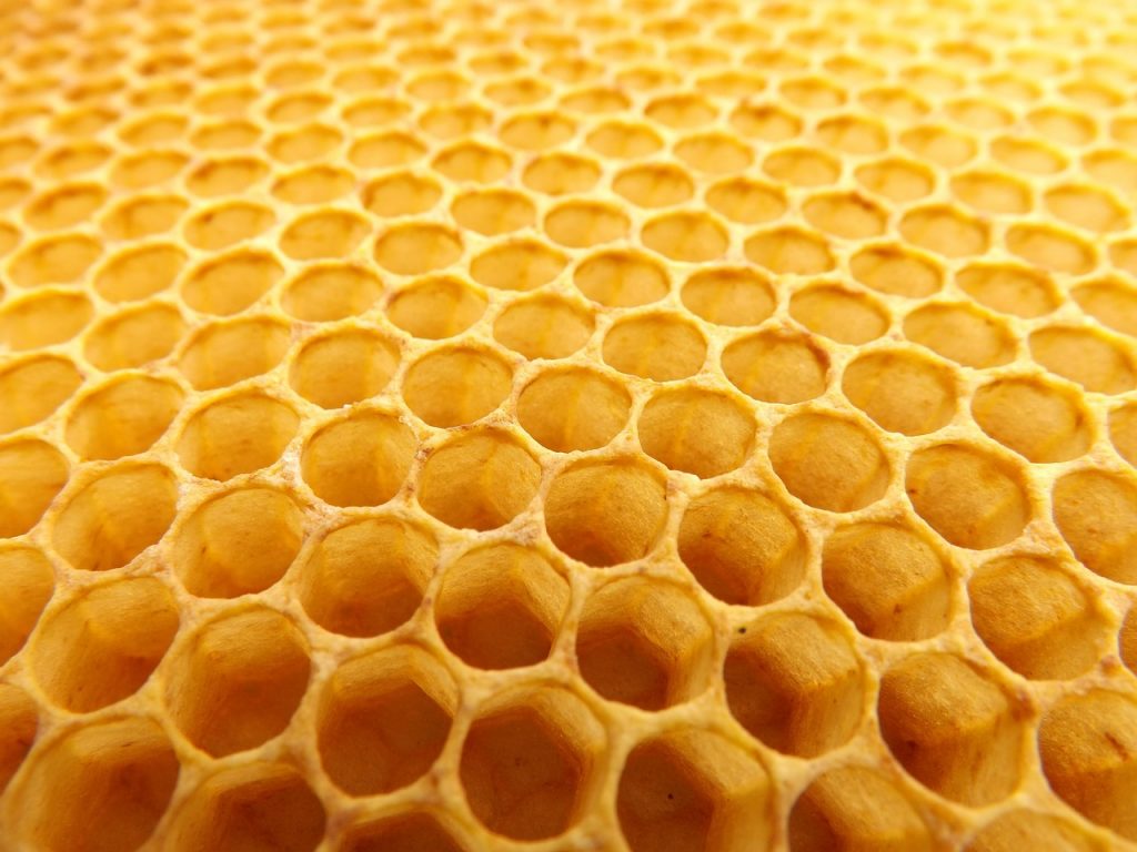 honeypot fraud