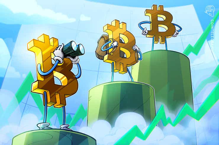 rise btc