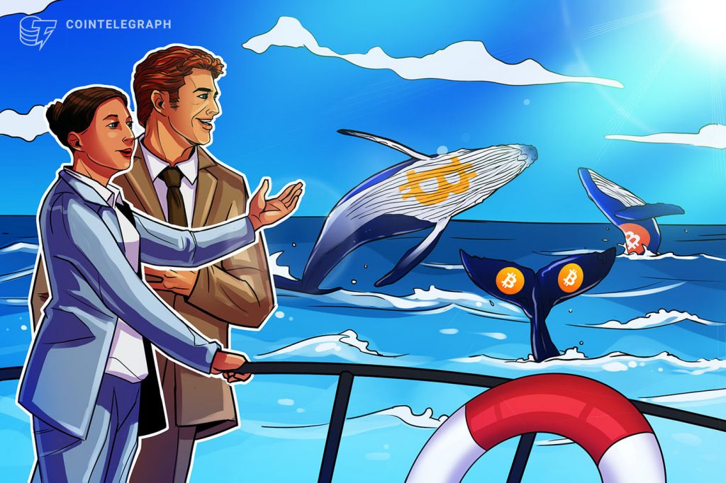 bitcoin whale