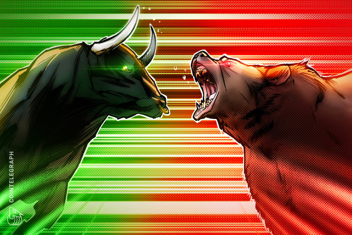 bull vs bear